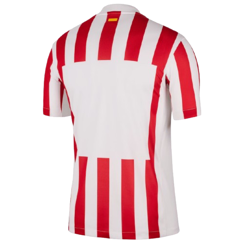 Atlético de Madrid Home Shirt 25/26