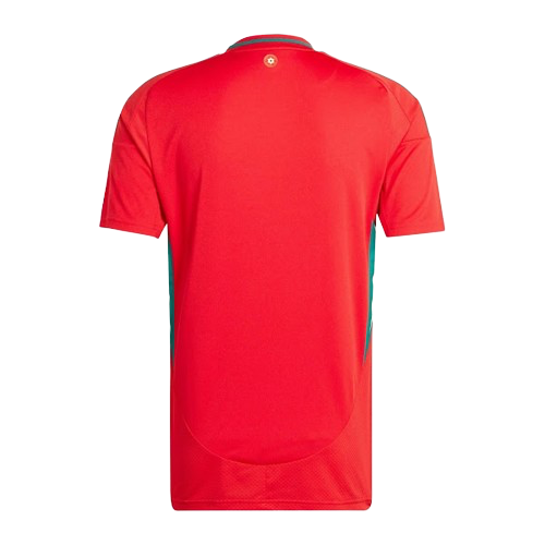 Wales Home Shirt 2024 - My Kits Direct